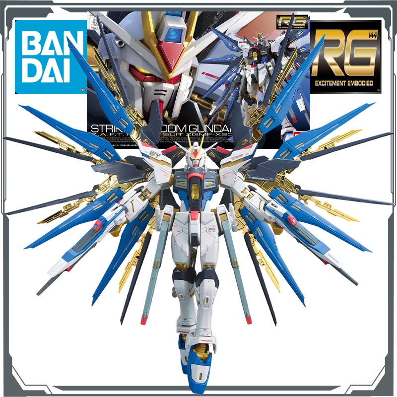 Bandai Gundam Hg - BANDAI RG Real Grade 1/144 ZGMF-X20A